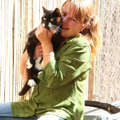Louise Reese-Jones, owner of Punga Grove Cattery